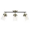 Adelaide 1.83 ft. 3-Light Antique Brass Fixed Track Lighting Kit with Matte Black Accent and Clear Glass Shades by Globe Electric