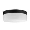 Mark 1-Light Black LED Outdoor/Indoor Integrated Flush Mount Ceiling Light with Frosted Glass Shade by Globe Electric