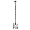 Sansa 1-Light Black Outdoor/Indoor Hanging Pendant by Globe Electric