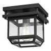 Sorrell 1-Light Bronze Outdoor/Indoor Flush Mount Light with Clear Glass Shade by Globe Electric
