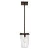 1-Light Bronze Outdoor Pendant with Clear Glass Shade, Vintage Incandescent Bulb Included by Globe Electric