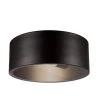 Teagan 1-Light Dark Bronze Outdoor Indoor Flush Mount Ceiling Light by Globe Electric