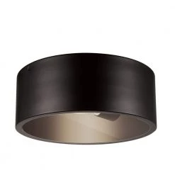 Teagan 1-Light Dark Bronze Outdoor Indoor Flush Mount Ceiling Light by Globe Electric