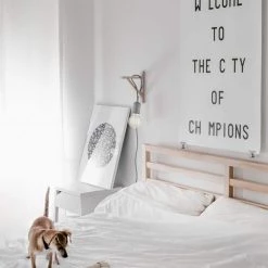 60 Watt G30 Dimmable Cage Filament Vintage Edison Incandescent Light Bulb, Warm Candle Light by Globe Electric 11 60 Watt G30 Dimmable Cage Filament Vintage Edison Incandescent Light Bulb, Warm Candle Light by Globe Electric -Deals Globe Electric Store globe electric edison bulbs 01320 44 1000