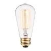 60 Watt S60 Dimmable Cage Filament Vintage Edison Incandescent Light Bulb, Warm Candle Light by Globe Electric