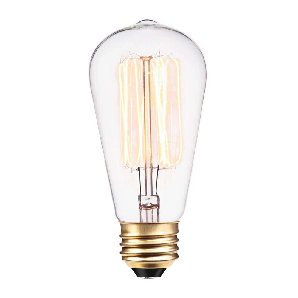 60 Watt S60 Dimmable Cage Filament Vintage Edison Incandescent Light Bulb, Warm Candle Light by Globe Electric 1 60 Watt S60 Dimmable Cage Filament Vintage Edison Incandescent Light Bulb, Warm Candle Light by Globe Electric