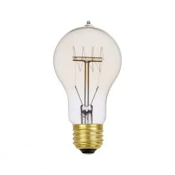 60 Watt A19 Dimmable Cage Filament Vintage Edison Incandescent Light Bulb, Warm Candle Light by Globe Electric