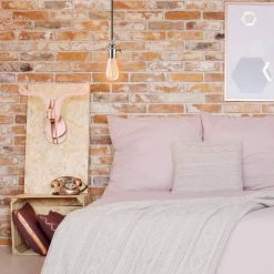 60 Watt S60 Dimmable Cage Filament Vintage Edison Incandescent Light Bulb, Warm Candle Light (3-Pack) by Globe Electric -Deals Globe Electric Store globe electric edison bulbs 31321 31 1000