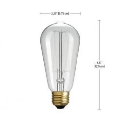 40 Watt S60 Dimmable Cage Filament Vintage Edison Incandescent Light Bulb, Soft White Light (12-Pack) by Globe Electric -Deals Globe Electric Store globe electric edison bulbs 313242 76 1000