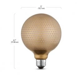 Moderna 40-Watt Equivalent E26 Base G40 Shape Luxury Oversized Frosted LED Filament Light Bulb, Copper Hexagon Design by Globe Electric -Deals Globe Electric Store globe electric edison bulbs 35042 fa 1000