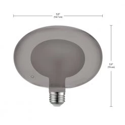 Luxe 10-Watt Equivalent G125 Dimmable LED Light Bulb in Warm White by Globe Electric -Deals Globe Electric Store globe electric edison bulbs 35629 fa 1000