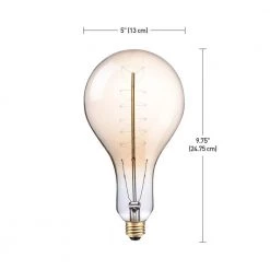 100 Watt PS42 Dimmable Spiral Filament Vintage Edison Incandescent Light Bulb, Warm Candle Light by Globe Electric -Deals Globe Electric Store globe electric edison bulbs 80126 c3 1000