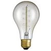 40 Watt A21 Dimmable Spiral Filament Vintage Edison Incandescent Light Bulb, Soft White Light by Globe Electric