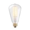 60 Watt S-Shape Dimmable Cage Filament Vintage Edison Incandescent Light Bulb, Warm Candle Light by Globe Electric