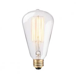 60 Watt S-Shape Dimmable Cage Filament Vintage Edison Incandescent Light Bulb, Warm Candle Light by Globe Electric