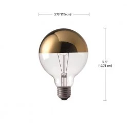 40 Watt G40 Dimmable Gold Top Vintage Edison Incandescent Light Bulb, Soft White Light by Globe Electric -Deals Globe Electric Store globe electric edison bulbs 84649 c3 1000