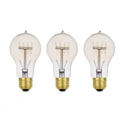 60 Watt A19 Dimmable Cage Filament Vintage Edison Incandescent Light Bulb, Warm Candle Light (3-Pack) by Globe Electric