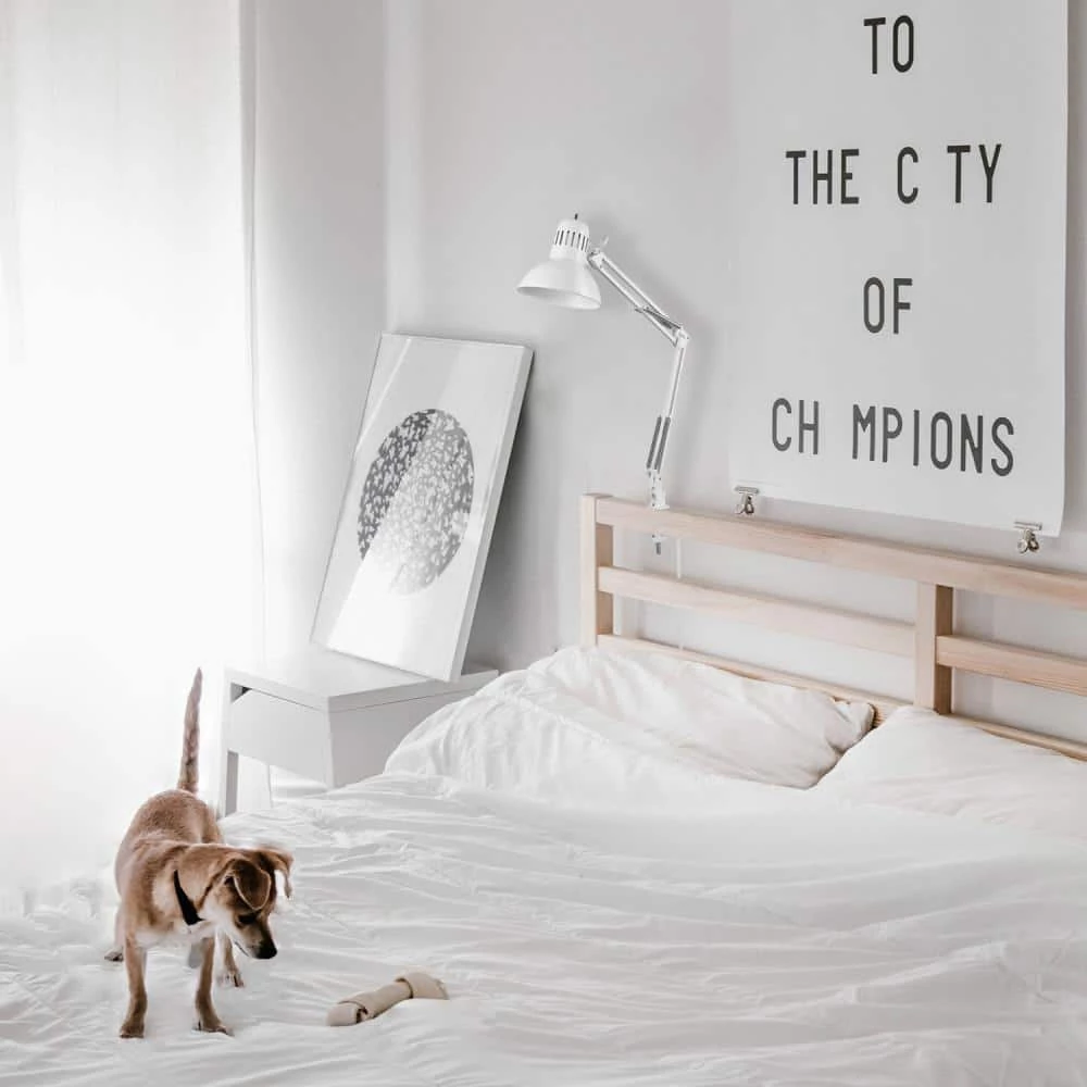 Architect 31.5 in. Glossy White Clamp-On Desk Lamp by Globe Electric 4 Architect 31.5 in. Glossy White Clamp-On Desk Lamp by Globe Electric - Image 4