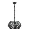 Juliet 1-Light Matte Black Chandelier with Caged Metal Shade by Globe Electric