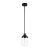 Abraham 1-Light Matte Black Pendant Light with Clear Glass Shade, Vintage Edison Incandescent Bulb Included by Globe Electric