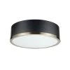 Selina 14 in. 2-Light Matte Black Flush Mount Ceiling Light with Frosted Glass Shade by Globe Electric