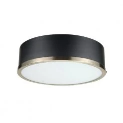 Selina 14 in. 2-Light Matte Black Flush Mount Ceiling Light with Frosted Glass Shade by Globe Electric