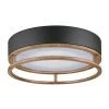 Ray 1-Light Mate Black 18.5-Watt LED Integrated Outdoor Indoor Flush Mount Ceiling Light with Faux Wood Accent by Globe Electric