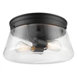 Aleyna 2-Light Matte Black Outdoor/Indoor Flush Mount Light with Clear Glass Shade by Globe Electric