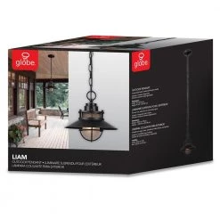 Liam Matte Black Hanging Outdoor Pendant by Globe Electric -Deals Globe Electric Store matte black globe electric outdoor pendant lights 44166 c3 1000