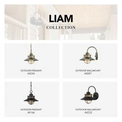 Liam Matte Black Hanging Outdoor Pendant by Globe Electric -Deals Globe Electric Store matte black globe electric outdoor pendant lights 44166 fa 1000