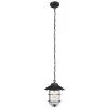 Matthews Matte Black Outdoor/Indoor 1-Light Hanging Pendant with Seeded Glass Shade by Globe Electric