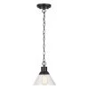 1-Light Matte Black Outdoor Indoor Pendant with Clear Seeded Glass Shade, Vintage Incandescent Bulb Included by Globe Electric