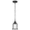 1-Light Matte Black Outdoor Indoor Pendant Light with Clear Seeded Glass Shade, Vintage Incandescent Bulb Included by Globe Electric