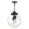 3-Light Matte Black Outdoor Indoor Pendant with Clear Glass Shade, Incandescent Bulbs Included by Globe Electric