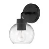Bangor 1-Light Matte Black Outdoor Wall Sconce with Clear Glass Shade by Globe Electric