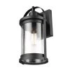 Xavier 1-Light Matte Black Hardwired Outdoor Indoor Wall Lantern Sconce with Seeded Glass Shade by Globe Electric