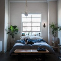 Pisaq 1-Light Matte Black Wall Sconce with Clear Glass Shade by Globe Electric -Deals Globe Electric Store matte black globe electric wall sconces 51860 c3 1000