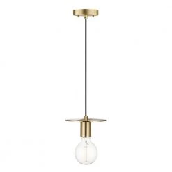 Veruca 1-Light Matte Brass Plug-In or Hardwire Pendant Lighting by Globe Electric