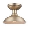 Kurt 1-Light Matte Brass Outdoor Indoor Semi-Flush Mount Light by Globe Electric