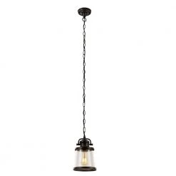 Charlie 1-Light Oil Rubbed Bronze Outdoor Hanging Pendant, Vintage Edison LED Bulb Included by Globe Electric