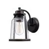 Roth 1-Light Oil Rubbed Bronze Outdoor/Indoor Wall Lantern Sconce with Clear Seeded Glass Shade by Globe Electric