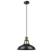 Robin 1-Light Satin Black Pendant by Globe Electric